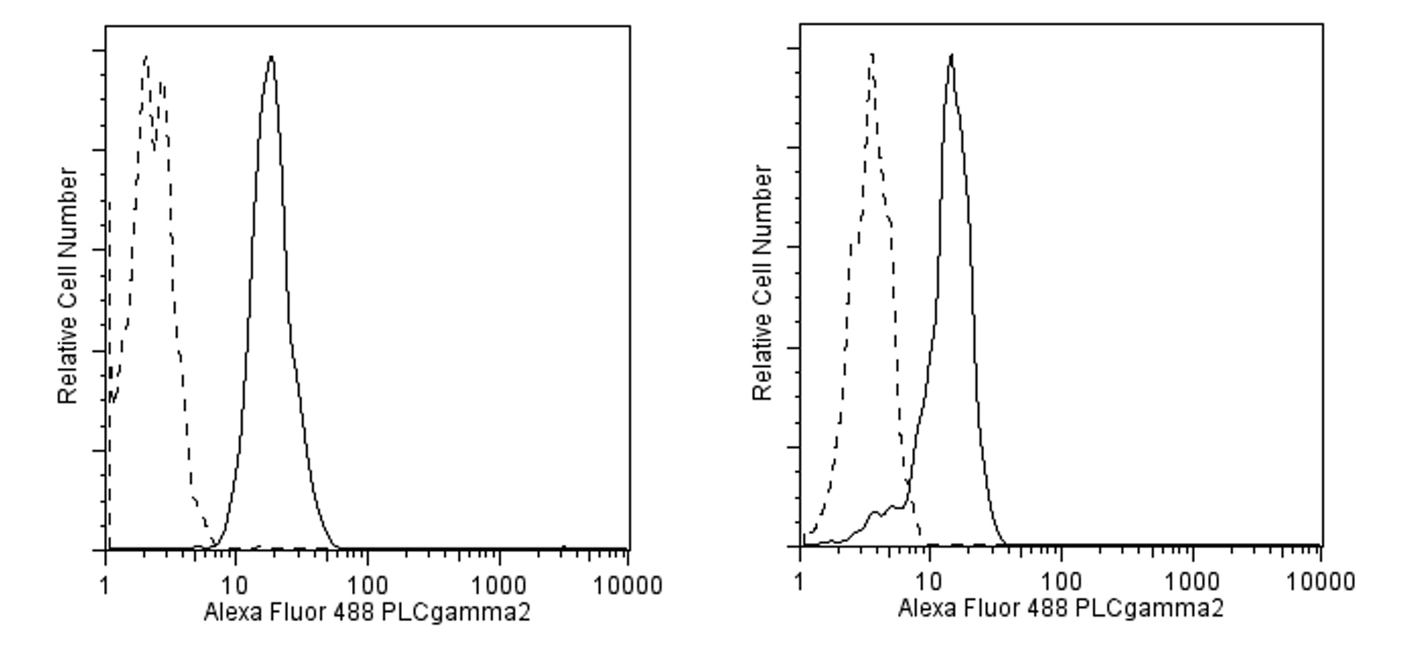560135Image1.png